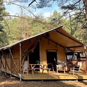  Kemping Camp Bursztynowy